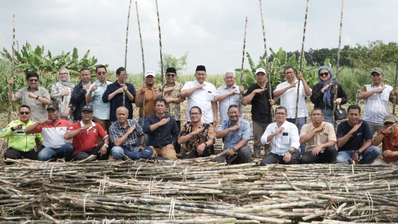 PT Sinergi Gula Nusantara (SGN) memastikan kesiapan PG Gempolkrep, Mojokerto untuk menggiling 950 ribu ton tebu petani, optimistis terhadap swasembada gula konsumsi.