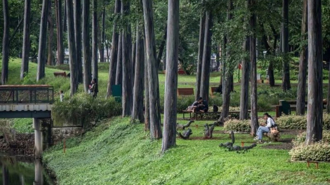 Pemprov DKI Jakarta akan membangun trek joging yang menghubungkan Taman Langsat, Taman Leuser, dan Taman Ayodya, sebagai bagian dari revitalisasi kawasan sekitar gedung ASEAN.