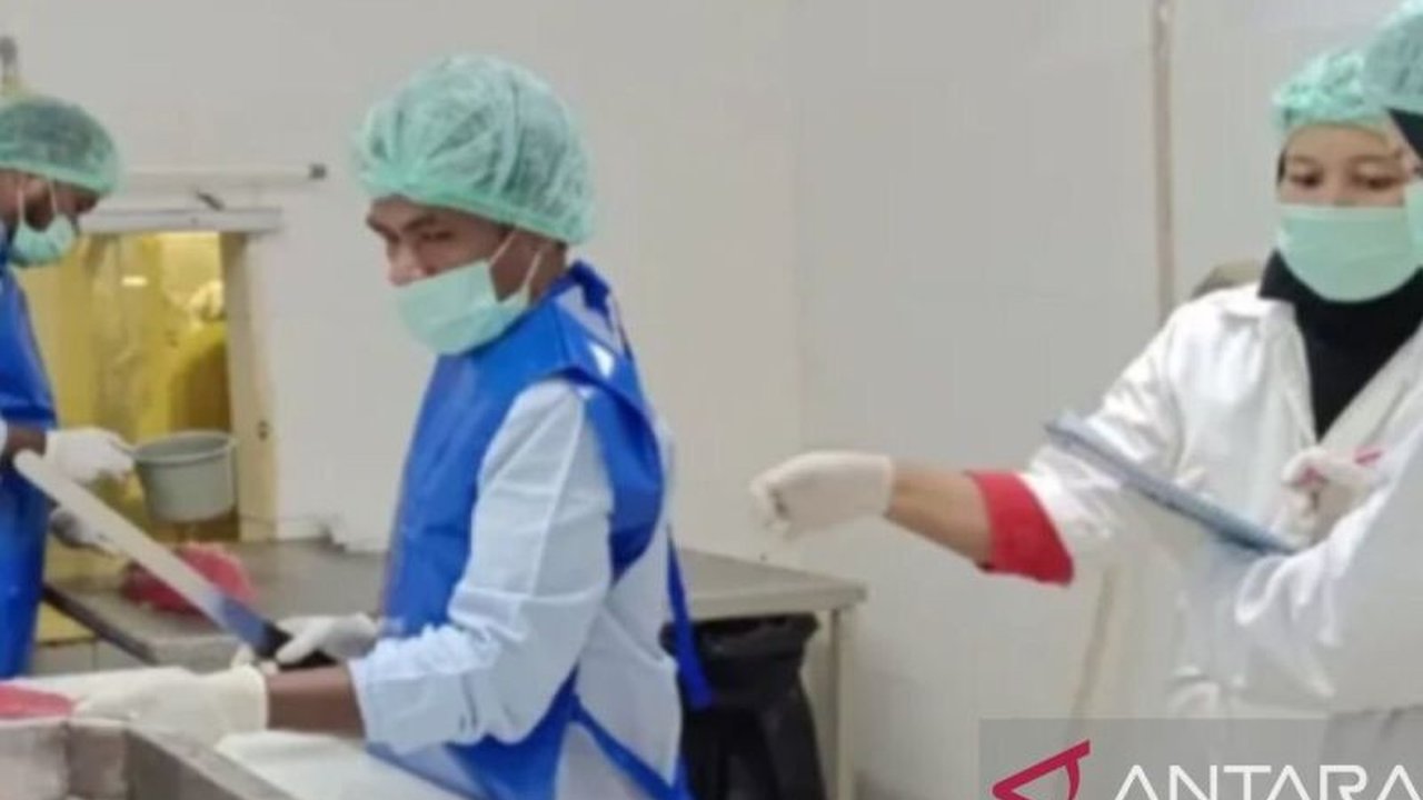 Badan Mutu KKP Maluku lakukan survei kelayakan perusahaan perikanan untuk pastikan produk perikanan Maluku layak ekspor dan aman dikonsumsi.