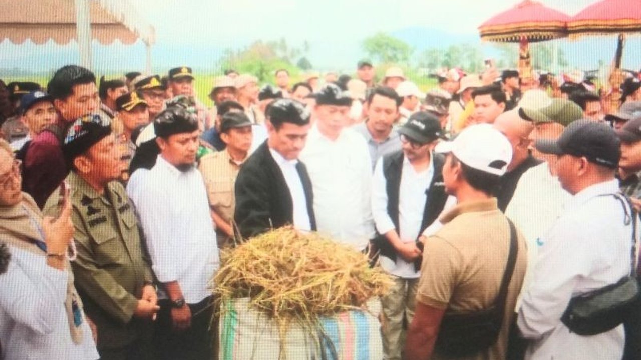 Mentan Andi Amran Sulaiman dorong petani Luwu Timur tingkatkan panen padi hingga empat kali setahun dengan sistem penanaman benih padi Super Genjah.