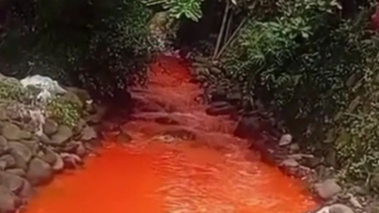 Sekda Bogor kerahkan DPKPP untuk mencegah pencemaran sungai di Citeureup akibat limbah industri dan menindak tegas pelaku pencemaran lingkungan.