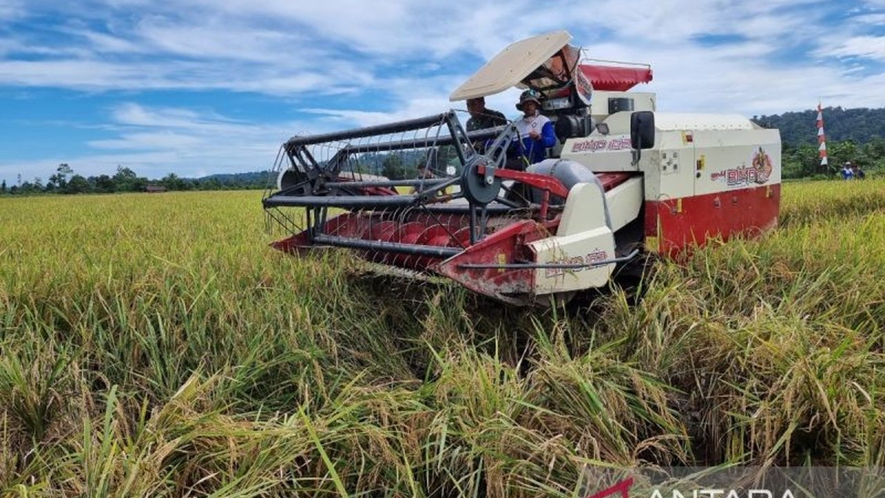 Gubernur Papua Barat fokus pada lima program unggulan untuk pengembangan pertanian hingga 2025, termasuk infrastruktur dan akses pasar.