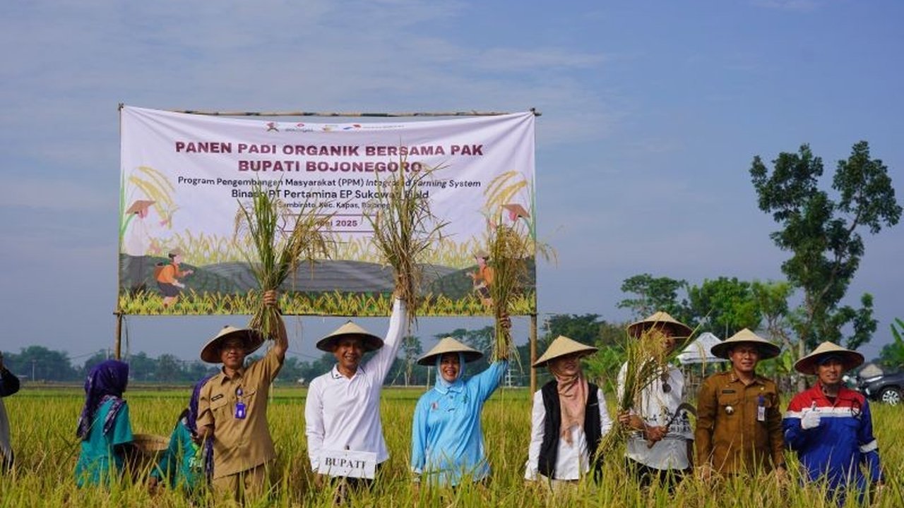 Pemkab Bojonegoro berkomitmen mengembangkan pertanian padi organik dengan konsumsi beras organik untuk pegawai DKPP, bertujuan tingkatkan kesejahteraan petani.