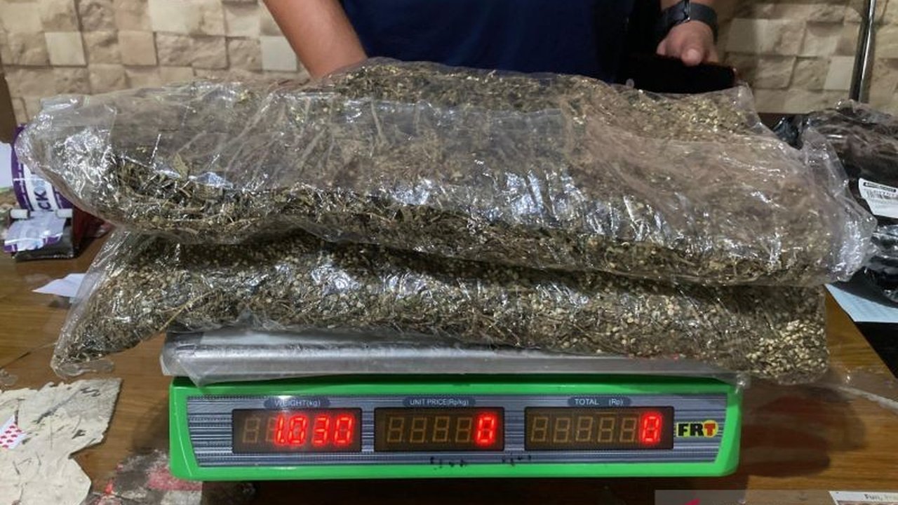 BNNP NTB mengungkap pengiriman 1 kg ganja dari Medan ke Lombok Timur, penerima paket fiktif ditangkap saat penyerahan dengan metode controlled delivery.