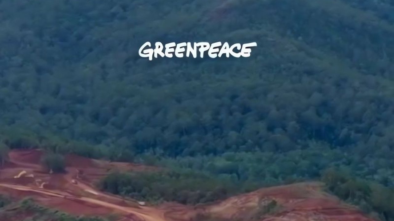 Pemprov PBD menindaklanjuti dugaan kerusakan lingkungan akibat aktivitas tambang di Raja Ampat, meski belum menerima laporan resmi.