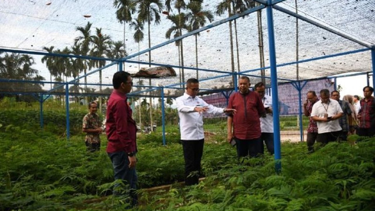 Semen Padang bersama PPNP mendistribusikan 2 juta bibit kaliandra merah sebagai bentuk dukungan terhadap transisi energi terbarukan dan pemberdayaan masyarakat.