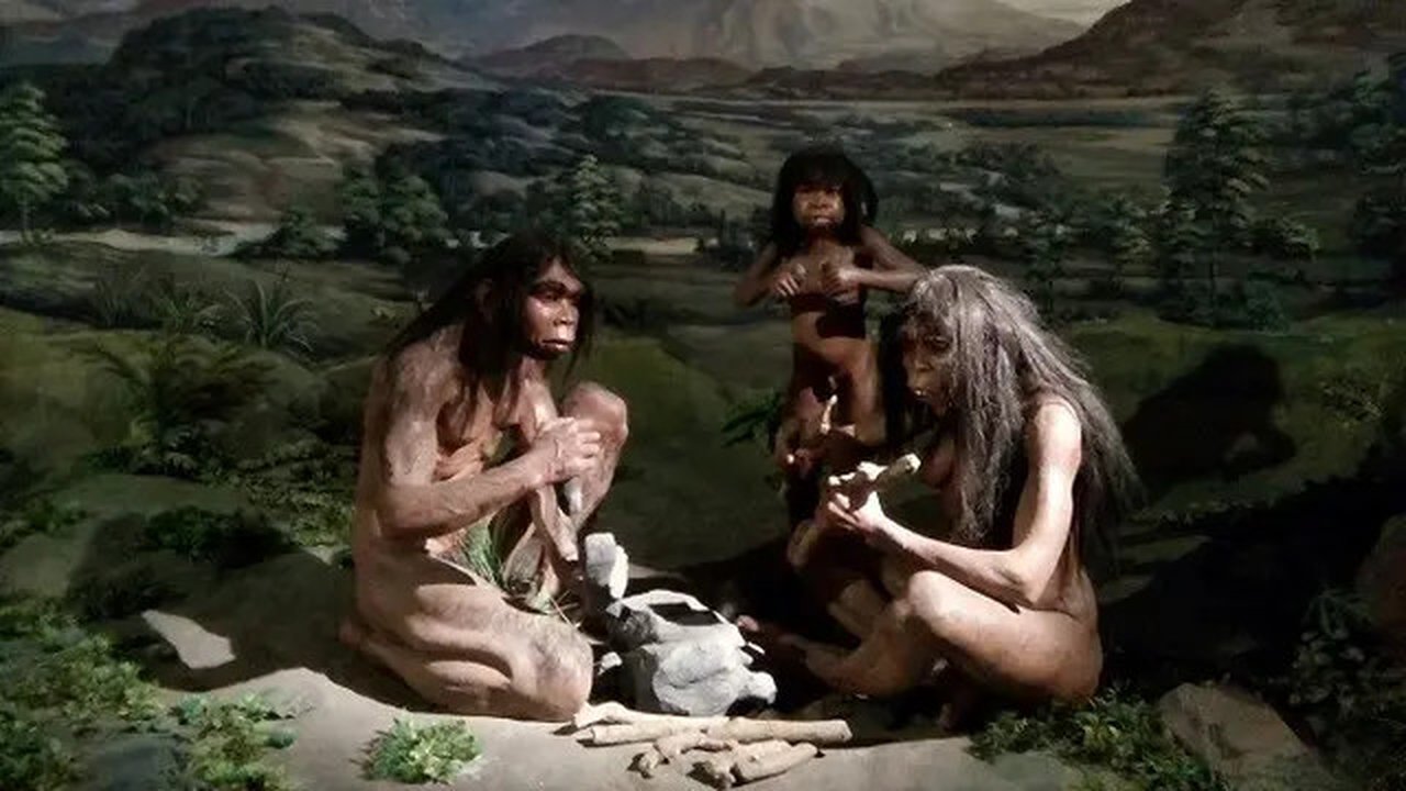 Manekin dari Homo erectus dalam pameran berjudul 