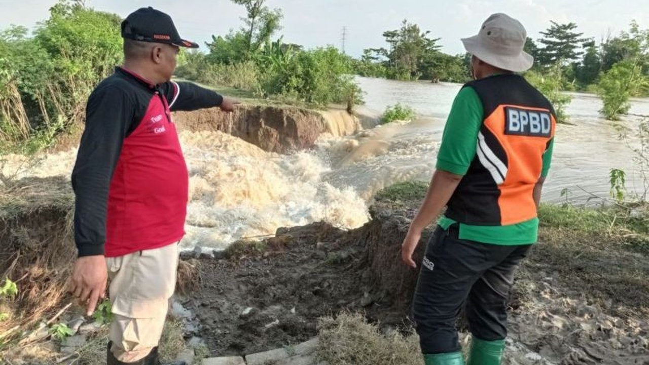 Sebanyak 11 desa di Demak terendam banjir akibat tanggul Sungai Tuntang jebol setelah curah hujan tinggi, BPBD siagakan perahu evakuasi.