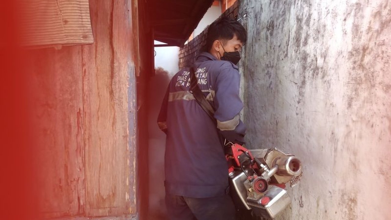 Dinkes OKU mencatat 113 kasus DBD hingga Mei 2025. Masyarakat diimbau menerapkan 3M dan memasang kawat kasa untuk mencegah penyebaran penyakit.