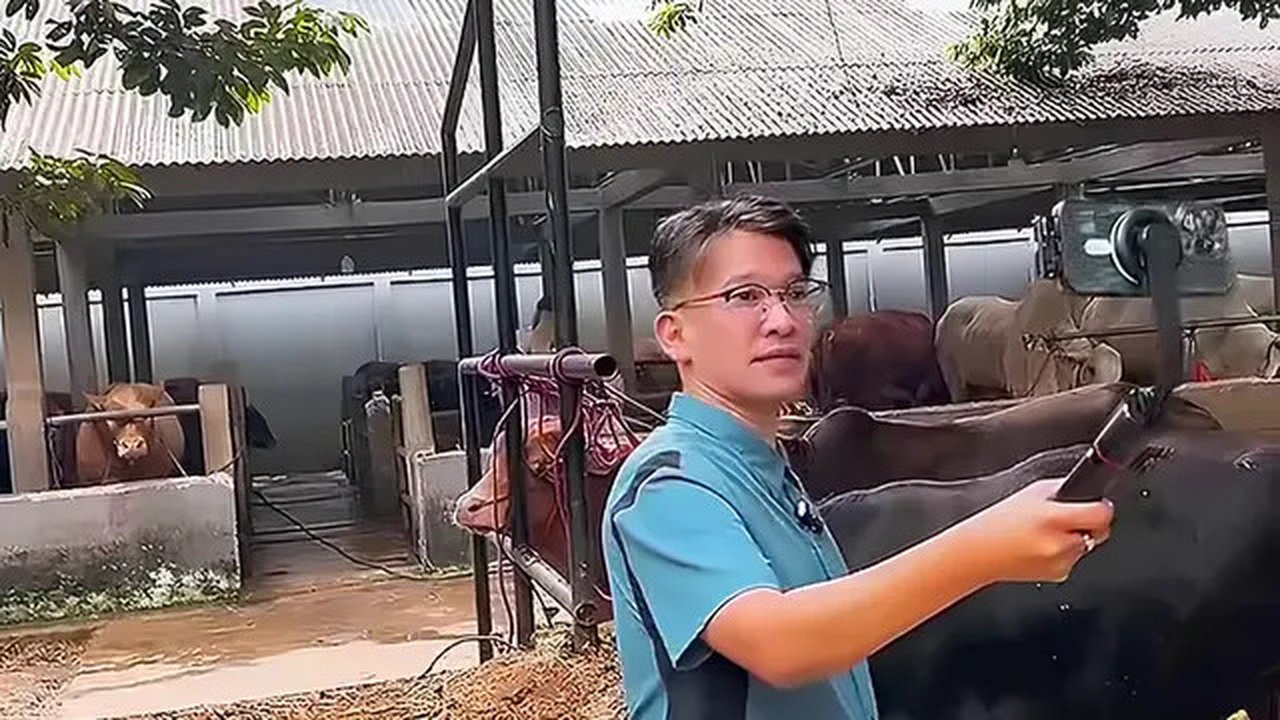 Potret Ruben Onsu Cari Sapi Kurban Usai Batal Naik Haji (Sumber: IG/ruben_onsu)