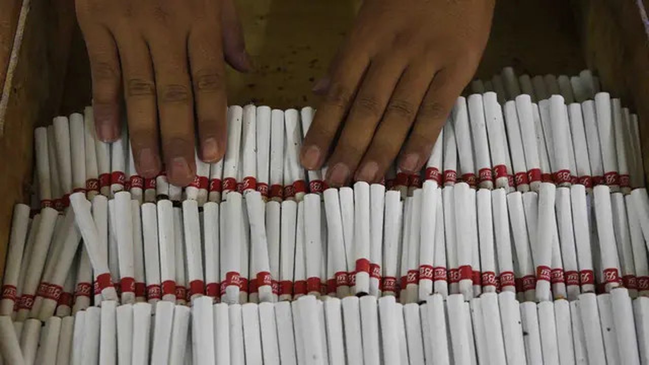 Ada seribu lebih varietas tembakau di Indonesia, tapi lebih banyak menjadi rokok sebagai produk turunannya (Zainul Arifin/Liputan6.com)