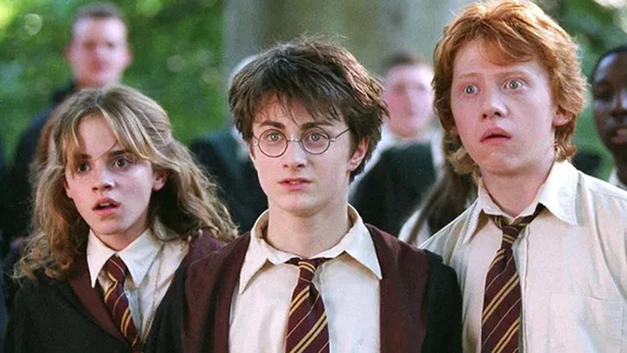 8 Karakter yang Hilang saat HARRY POTTER Diadaptasi dari Novel ke Film, Padahal Perannya Cukup Krusial
