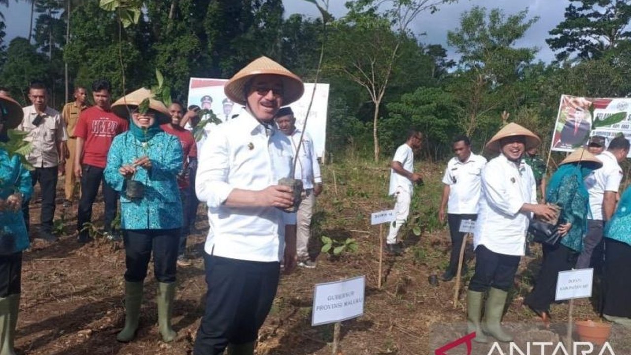 Gubernur Maluku salurkan bantuan pertanian di Seram Bagian Timur, optimalkan ketahanan pangan dan dorong potensi Kopi Maluku sebagai komoditas unggulan baru yang siap mendunia.