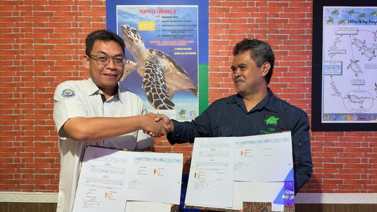 Kementerian Kelautan dan Perikanan (KKP) jalin kemitraan strategis dengan Yayasan Penyu Papua (YPP) untuk perkuat Perlindungan Penyu Raja Ampat. Bagaimana kolaborasi ini menjaga ekosistem?
