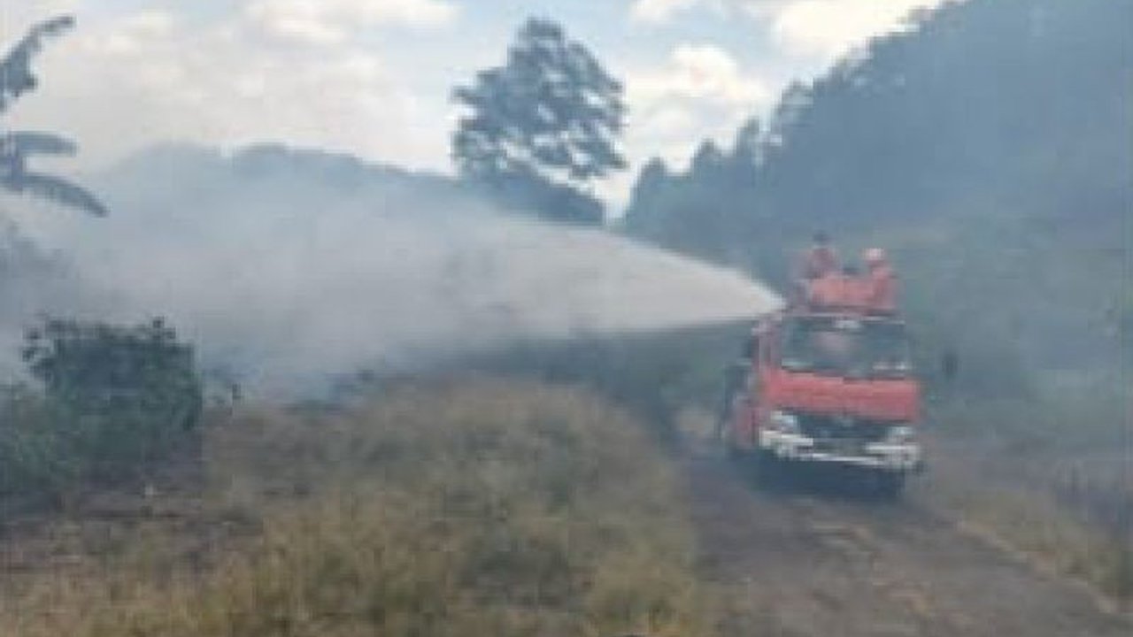 Pusdalops PB mencatat tujuh daerah di Sumatera Utara dilanda karhutla, menyebabkan ratusan hektare lahan hangus. Simak detail dampak Karhutla Sumut di sini!