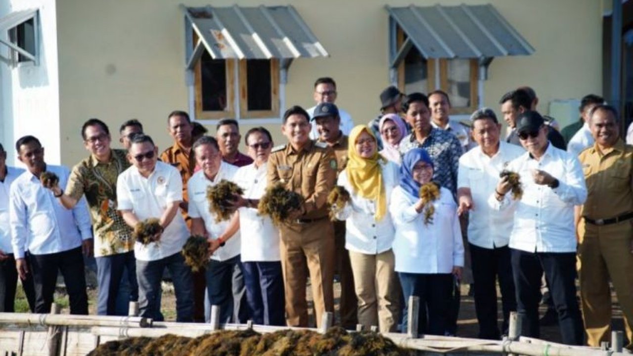 Pemerintah Kabupaten Indramayu melihat Potensi Rumput Laut Indramayu sebagai motor ekonomi baru. Produksi mencapai puluhan ribu ton, bagaimana dampaknya bagi masyarakat pesisir?