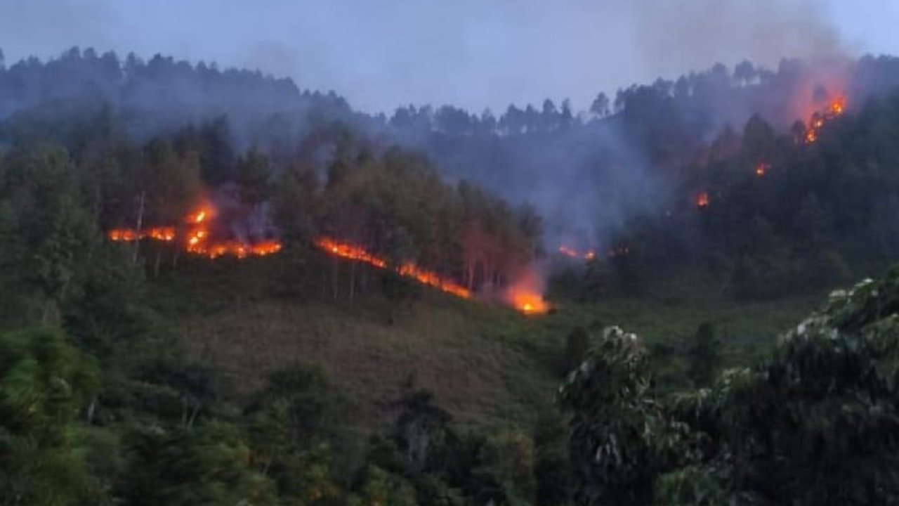 Polres Humbahas tengah mengusut insiden kebakaran lahan di Pollung yang menewaskan seorang petani. Penyelidikan mendalam dilakukan untuk memastikan ada tidaknya unsur kelalaian dalam tragedi Kebakaran Lahan Humbahas ini.