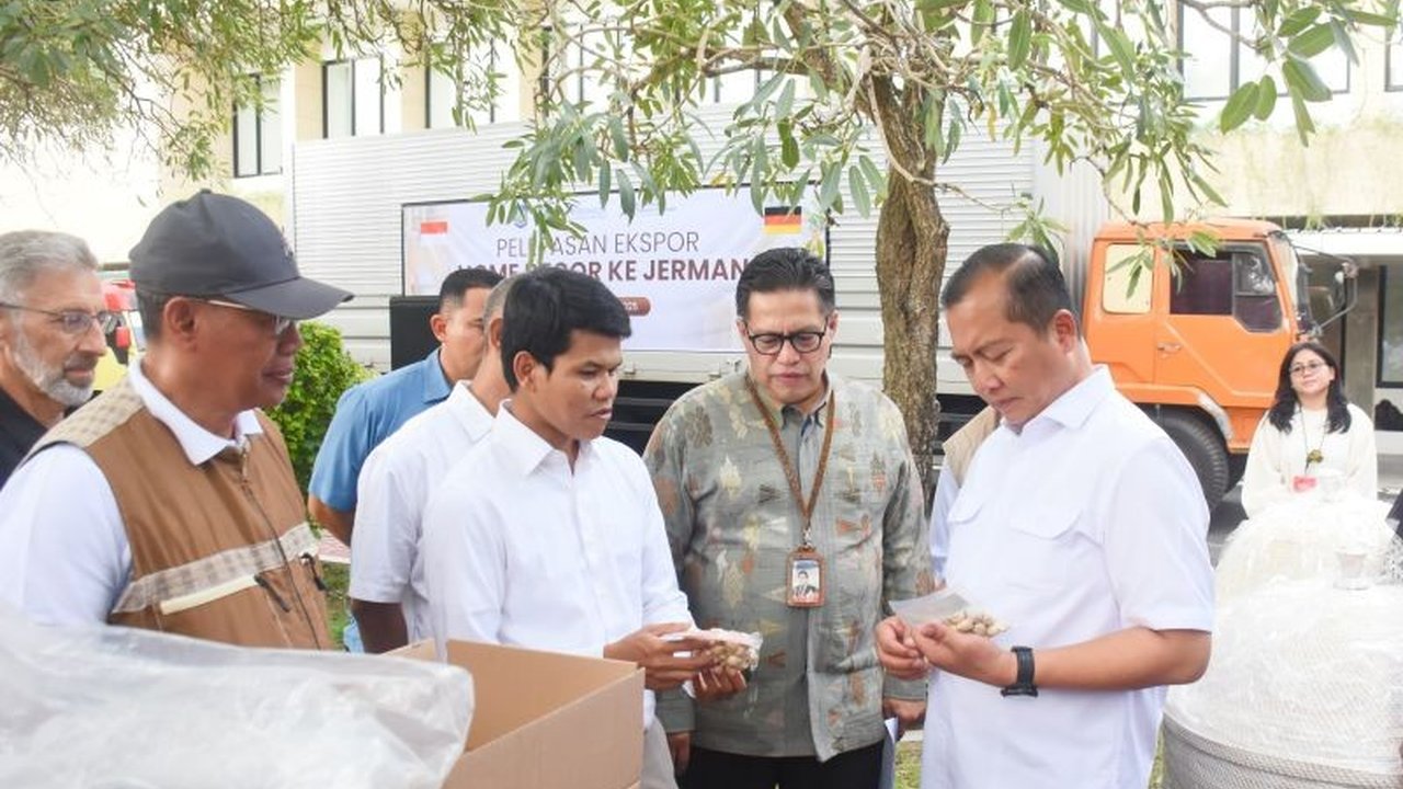 Tahukah Anda Vanili NTB Mendunia? Gubernur Iqbal Lepas Ekspor Komoditas Nontambang ke Amerika hingga Eropa