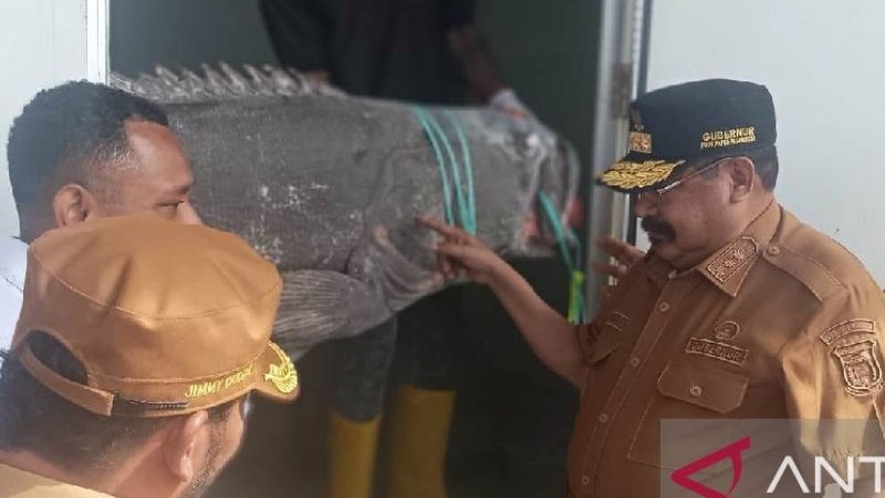 Pemerintah Kabupaten Biak Numfor menjadikan sektor perikanan dan pariwisata Biak sebagai program unggulan dalam RPJMD 2025-2029, siap dongkrak ekonomi lokal.