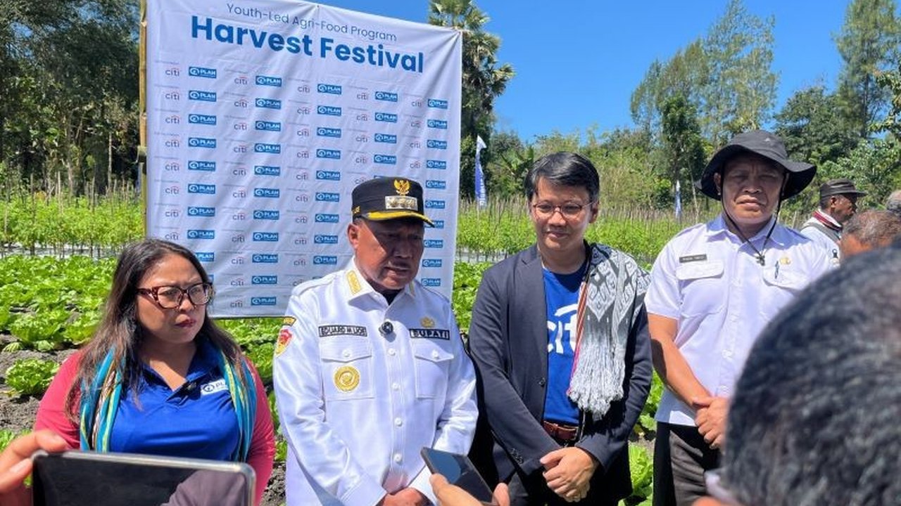 Petani muda TTS di Timor Tengah Selatan berhasil panen ratusan kilogram sayur dan hasil ternak. Hasil ini dinilai mampu mendukung program Makan Bergizi Gratis.