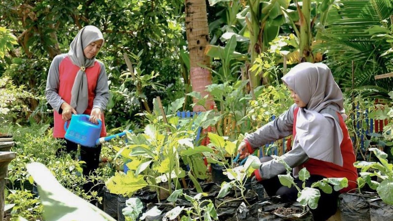 PT Semen Indonesia (SIG) sukses mengubah limbah ternak sapi menjadi sumber pendapatan baru bagi 879 perempuan di Blora melalui program inovatif. Simak kisah inspiratifnya!