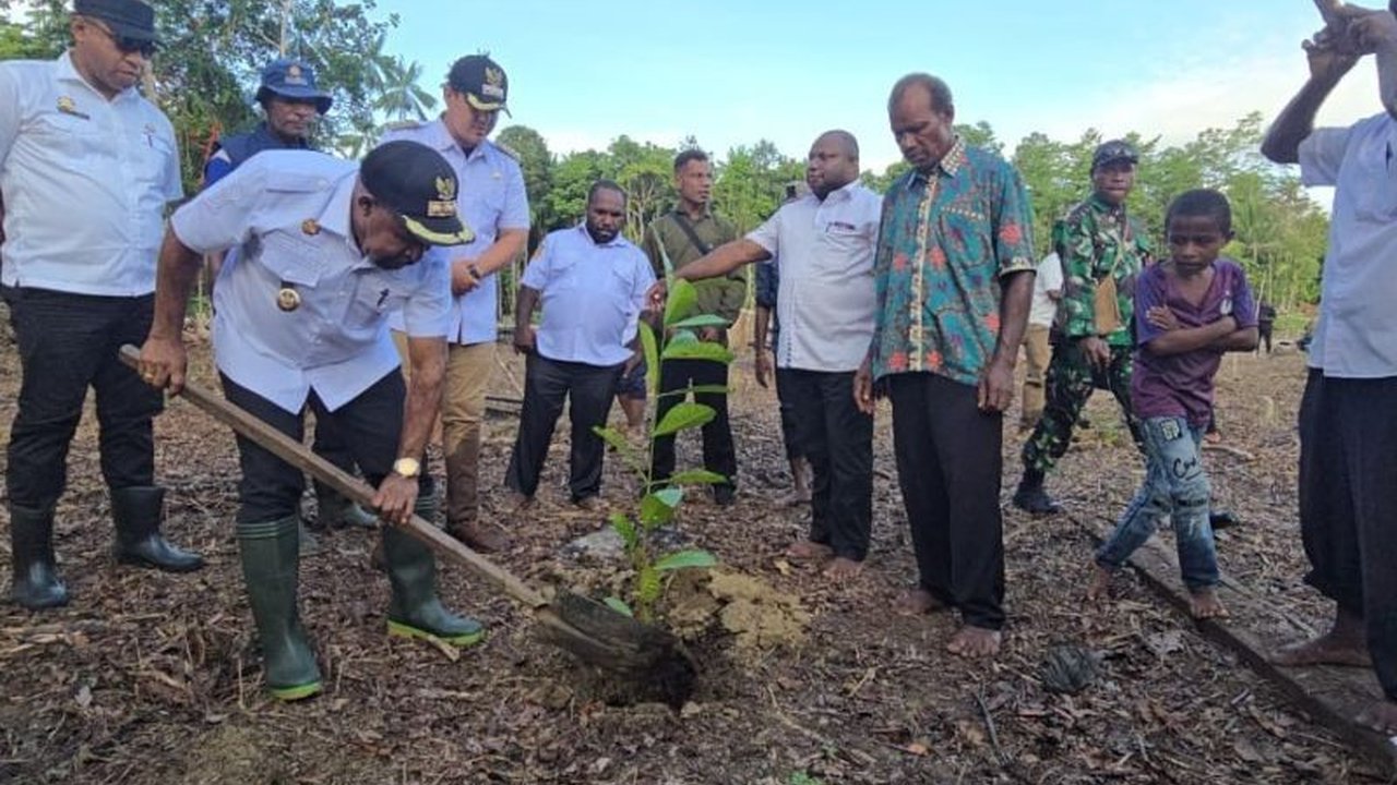 Pemerintah Kabupaten Jayapura serius berdayakan ekonomi masyarakat melalui pengembangan Kopi Arabika Jayapura di Kawasan Grimenawa. Simak potensi besarnya!