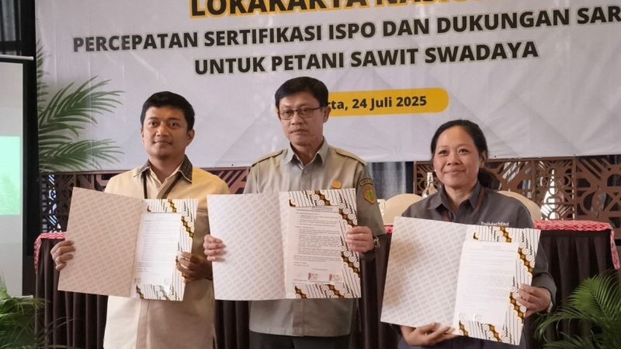 Kementerian Pertanian dan BPDP bersinergi mempercepat Sertifikasi ISPO Petani Sawit, mengingat baru sebagian kecil yang tersertifikasi dan mandatori akan direlaksasi pada 2026. Mengapa ini krusial bagi pasar global?