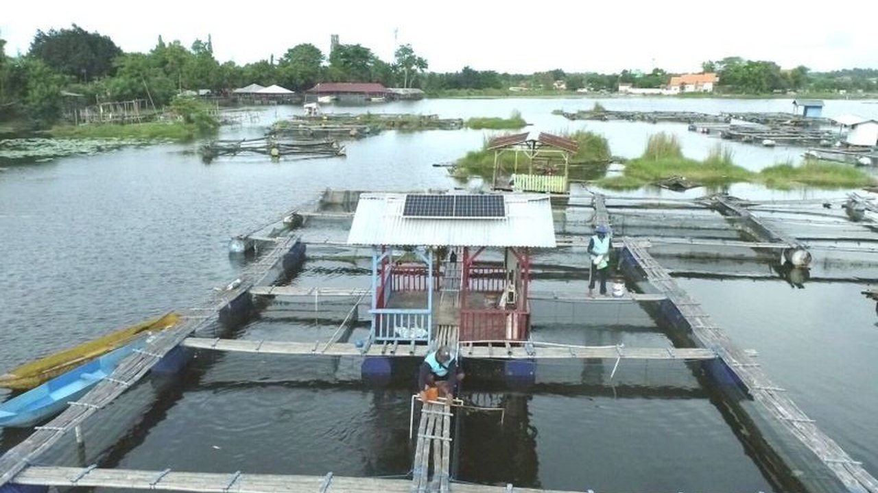 Tahukah Anda? PLTS Gantikan Genset, PLN IP Pasang PLTS Nelayan Danau Ranu di Keramba Tingkatkan Produktivitas