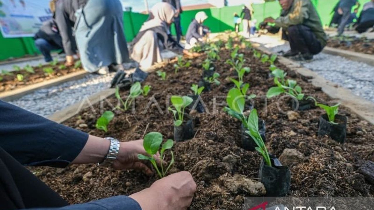 Pemerintah Kota Kendari meluncurkan Program Kendari Berkebun, inisiatif strategis untuk memperkuat ketahanan pangan keluarga dan menekan pengeluaran. Simak detailnya!