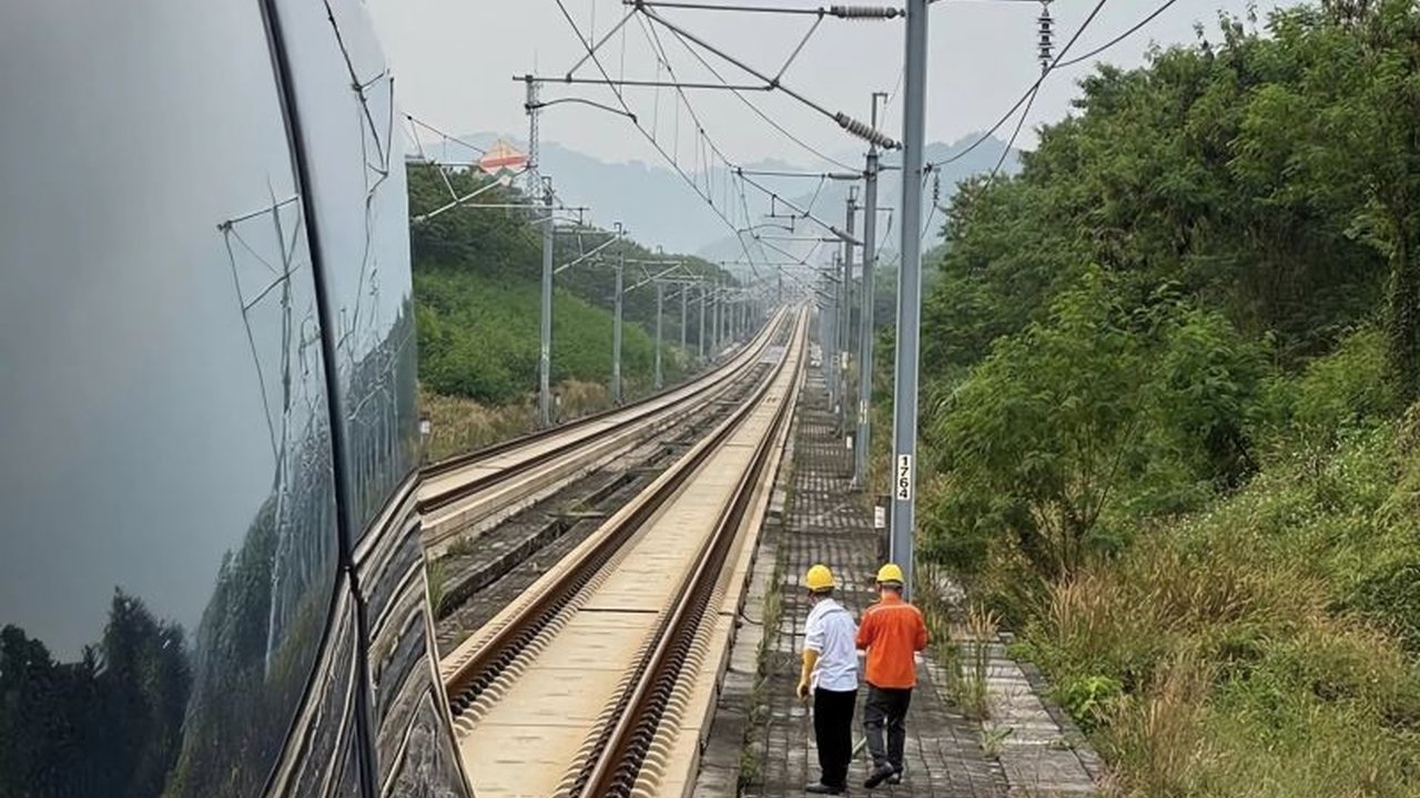 Kereta Cepat Whoosh mengalami keterlambatan 40 menit setelah menabrak biawak di jalur Padalarang-Karawang. Insiden ini mengungkap tantangan operasional di habitat satwa liar.