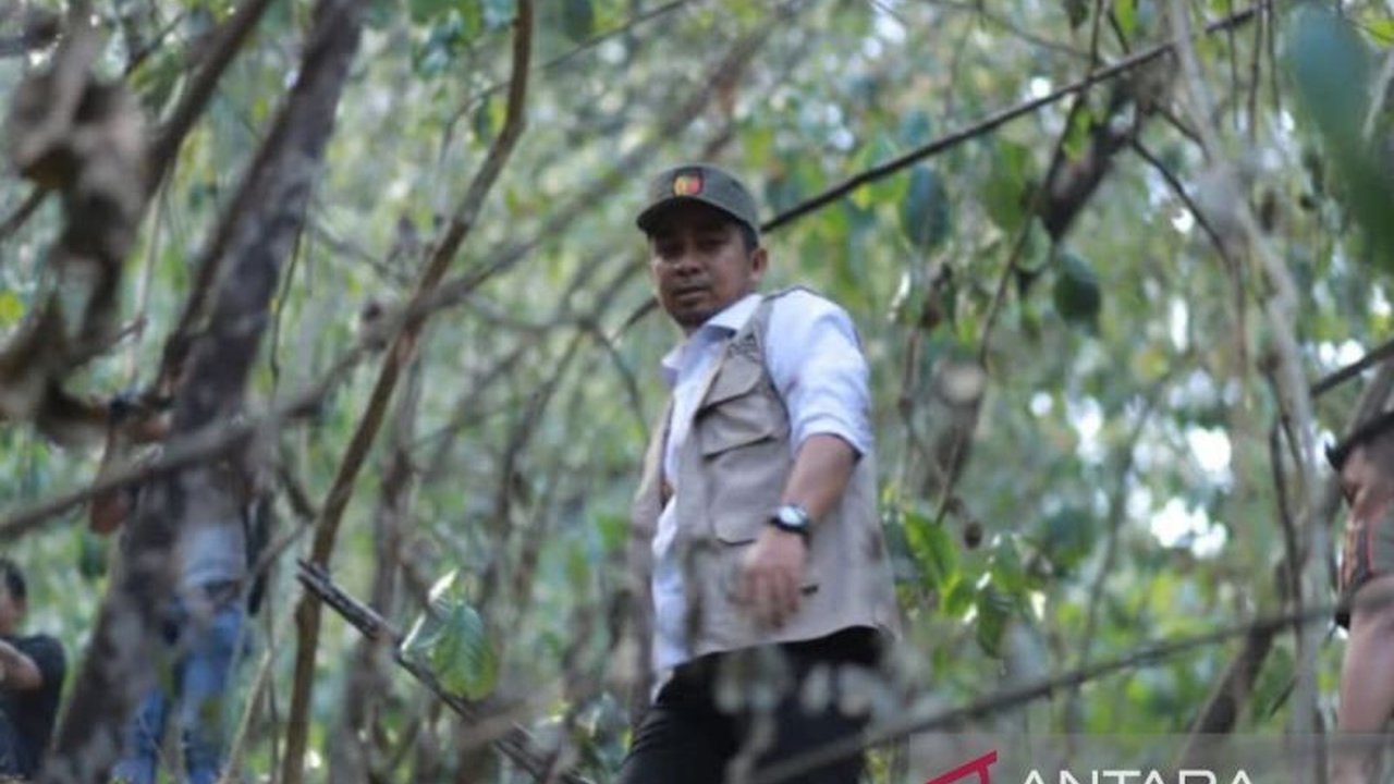 Wali Kota Solok apresiasi tim gabungan yang berhasil mengendalikan karhutla di Bukit Barisan, Kota Solok. Simak bagaimana sinergi ini memadamkan api di medan sulit!