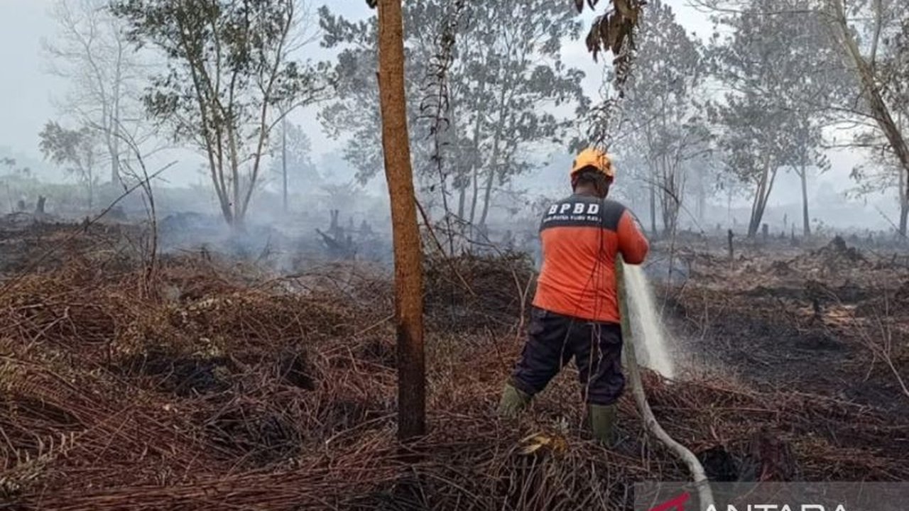 Tim gabungan berhasil padamkan Karhutla di Rasau Jaya Kubu Raya hanya dalam hitungan jam. Simak bagaimana mereka mengatasi lahan gambut yang rentan terbakar.