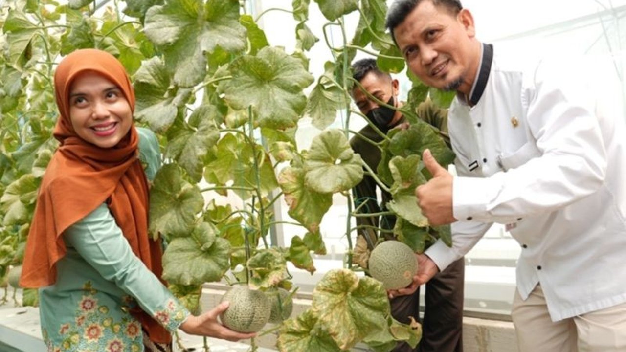 Proklim RW 02 Kelapa Dua Kebon Jeruk dinilai adaptif dalam pemanfaatan lahan dan berorientasi ekonomi, menarik perhatian tim verifikasi nasional. Apa saja keunggulannya?