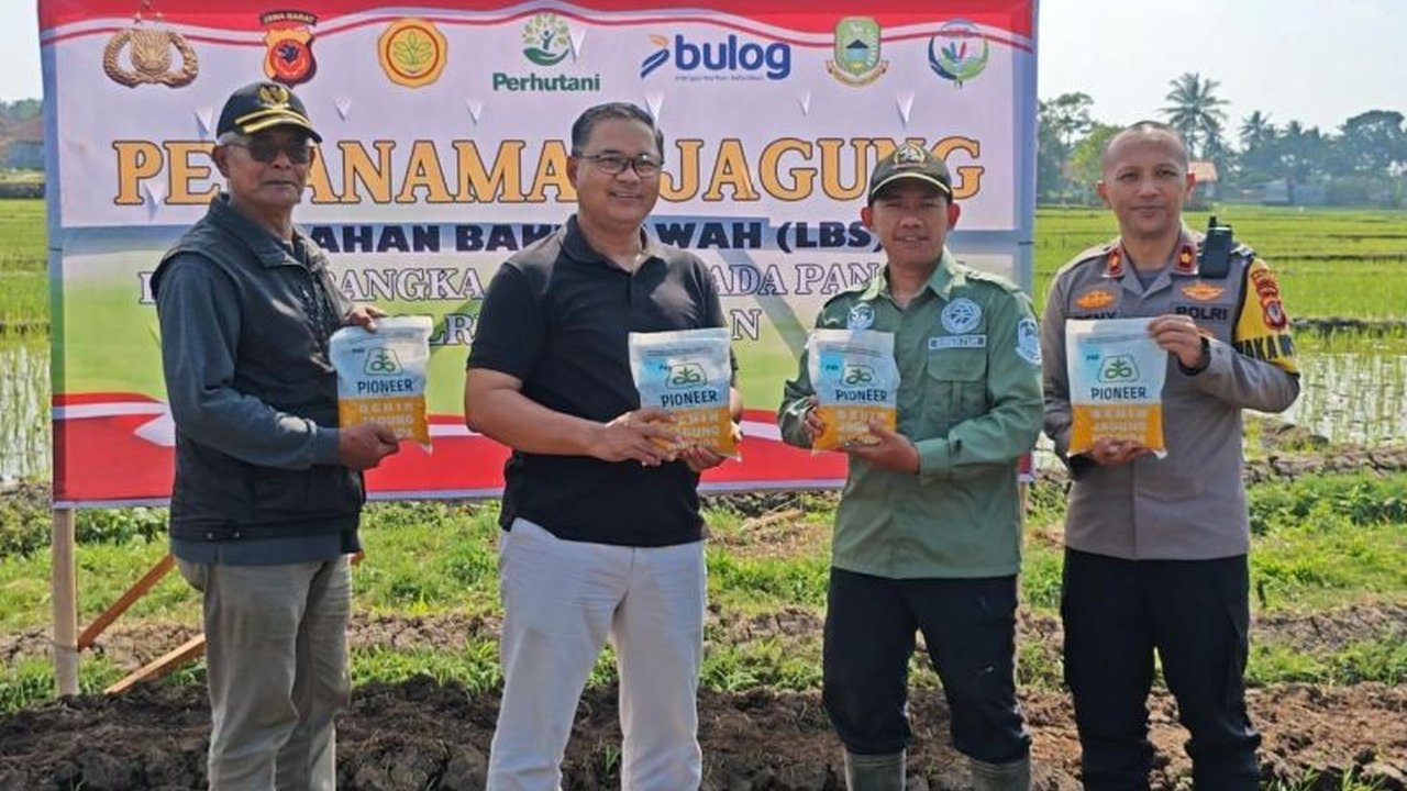 Polres Kuningan bersama Pemda sukses perluas areal tanam jagung hibrida di Kuningan, melebihi target awal. Simak bagaimana sinergi ini wujudkan ketahanan pangan!