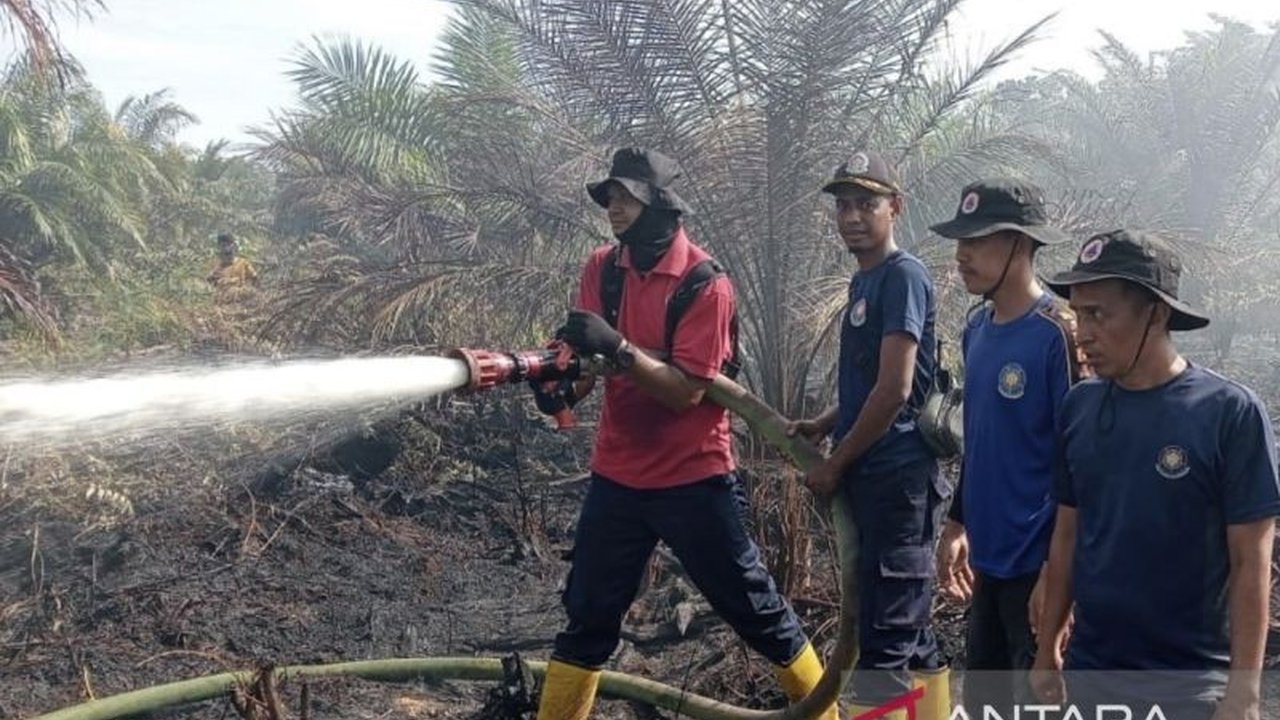 BPBD Aceh Barat mengerahkan tim untuk memadamkan kebakaran lahan seluas satu hektare di Woyla. Asap dari kebakaran ini mulai mengganggu pernapasan warga sekitar, menimbulkan kekhawatiran.