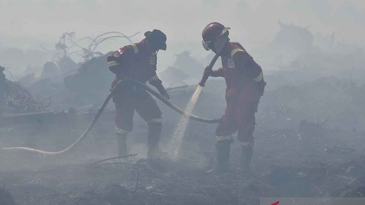 Gubernur Jambi Al Haris memastikan bantuan helikopter BNPB segera tiba untuk memperkuat upaya penanganan kebakaran hutan dan lahan. Bagaimana dampaknya terhadap kondisi terkini?