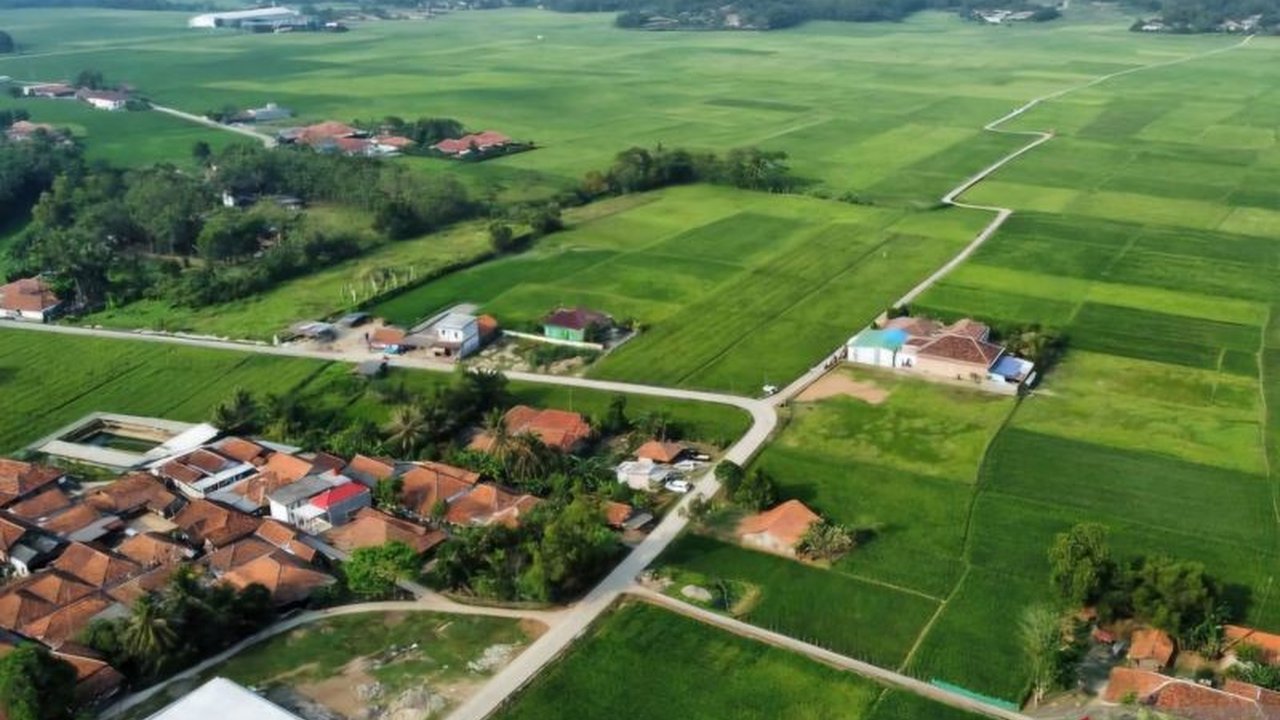 Pembahasan Raperda LP2B Kabupaten Bekasi yang telah berlangsung sejak 2018 terancam tertunda. Mengapa penentuan luas lahan menjadi ganjalan utama dalam regulasi penting ini?