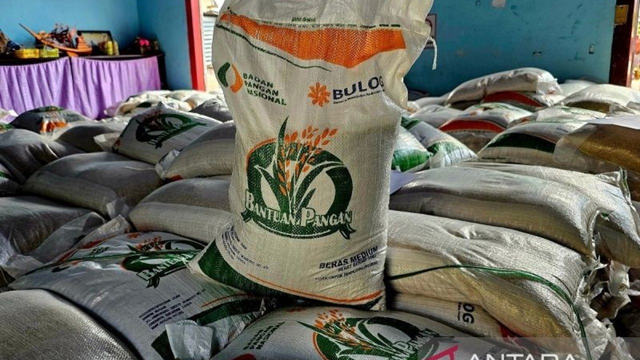 Perum Bulog Natuna giat mendistribusikan bantuan pangan berupa beras hingga ke pulau-pulau penyangga, memastikan ketersediaan dan menekan harga. Ini adalah upaya penting dalam penyaluran Bantuan Pangan Bulog Natuna.