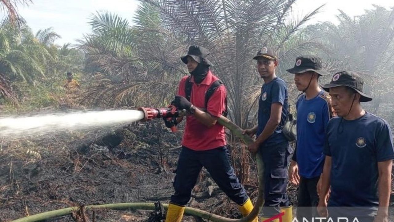 Upaya sigap BPBD Aceh Barat berhasil memadamkan 70 persen kebakaran lahan Aceh Barat di Desa Aron Baroh, Woyla. Simak detail penanganan dan dampaknya!