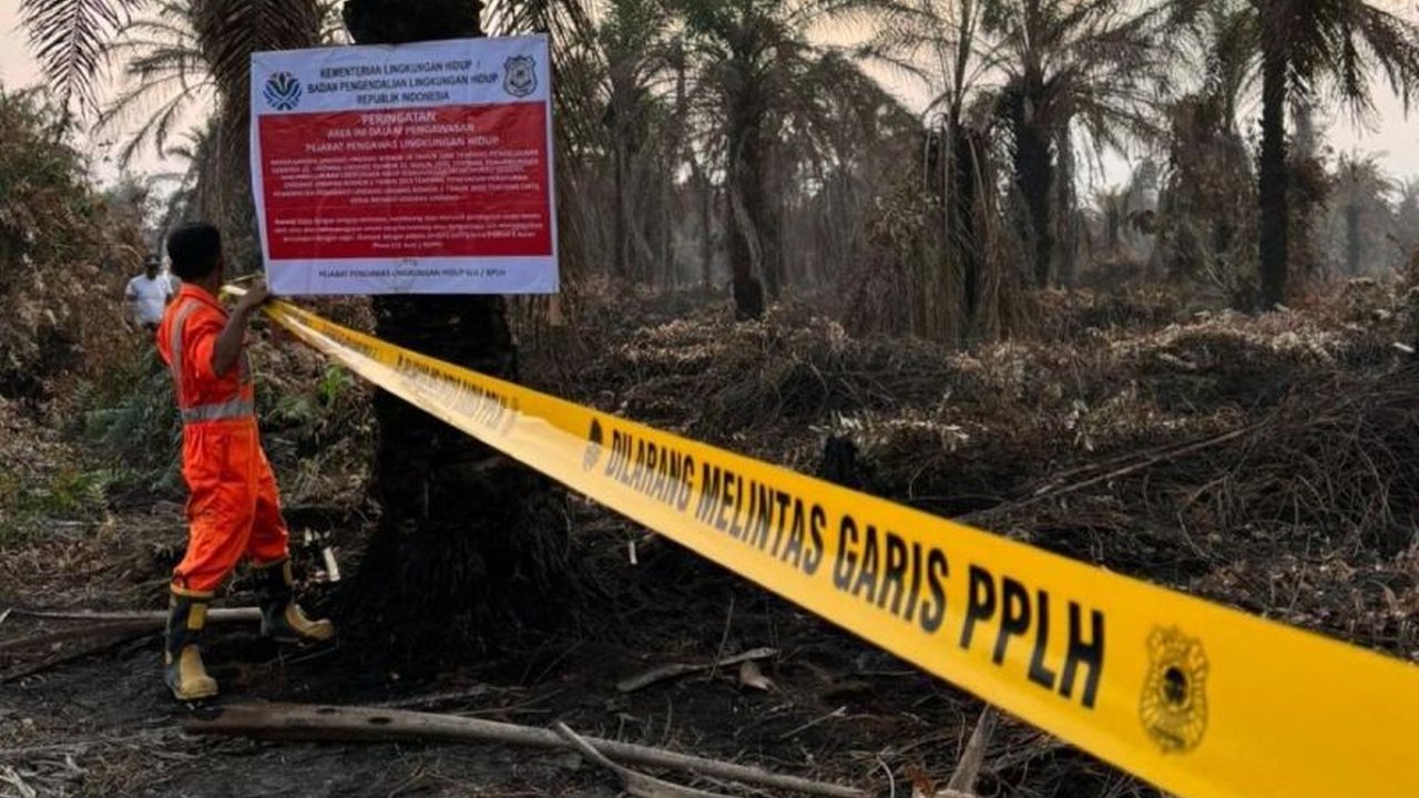 Kementerian Lingkungan Hidup (KLH) tegas menyegel kebun sawit dan pabrik di Riau. Langkah ini diambil setelah deteksi hotspot dan pencemaran udara. Apa implikasinya dari penyegelan kebun sawit ini?