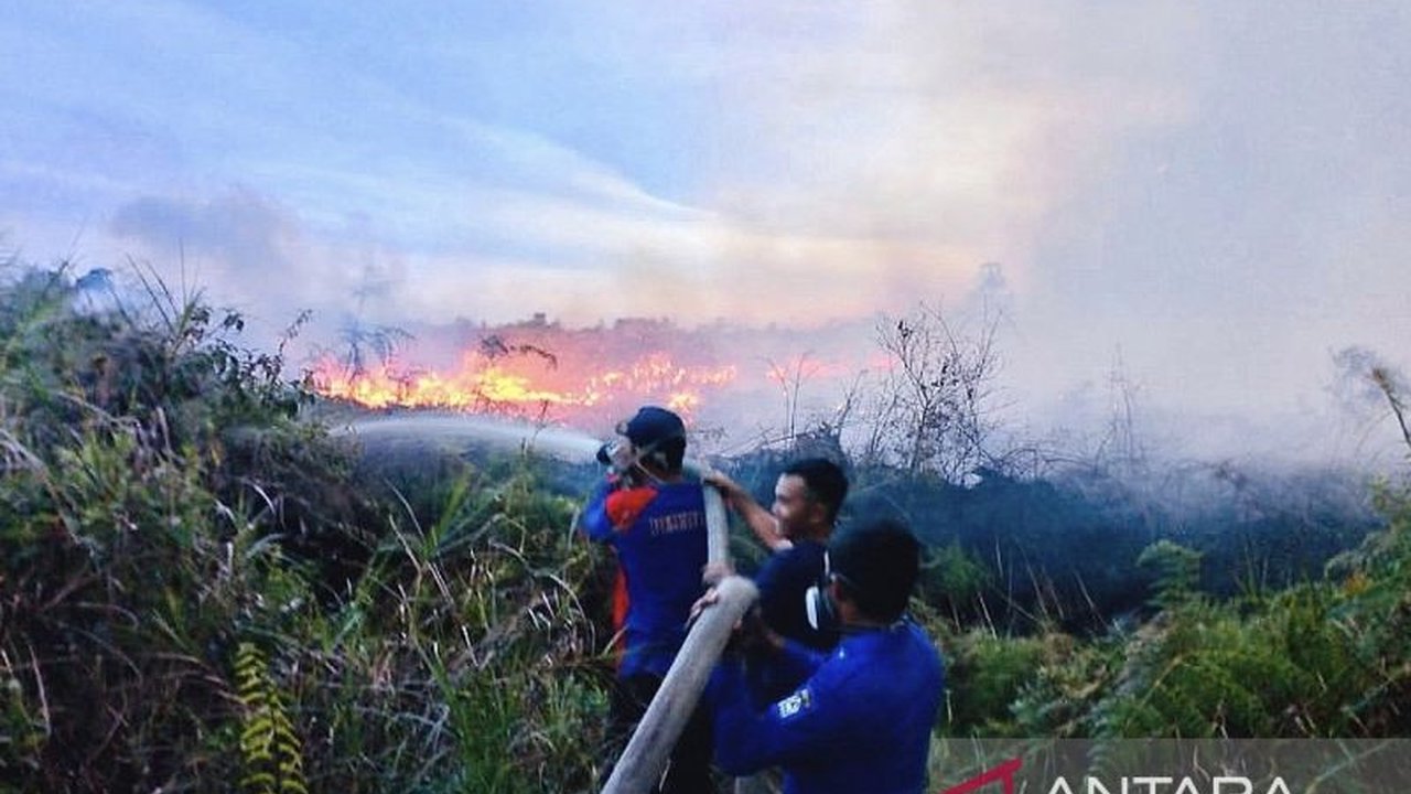Waspada! BMKG Ungkap Potensi Karhutla Aceh Masih Tinggi hingga Agustus 2025, Ini Penyebabnya