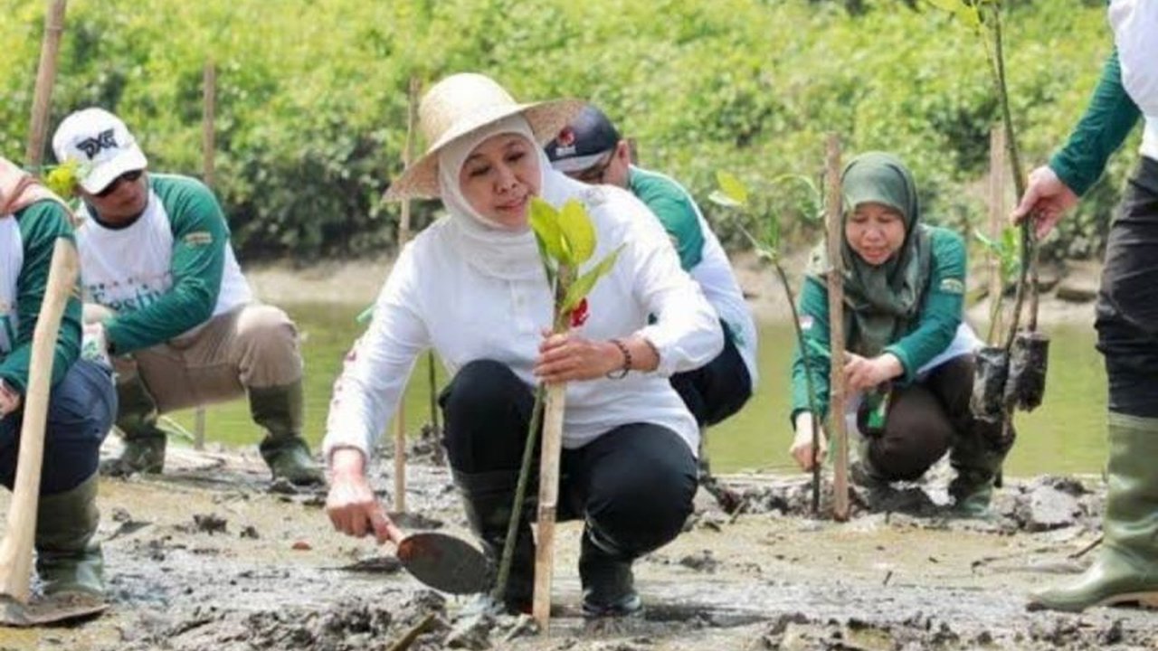 Gubernur Jawa Timur Khofifah Indar Parawansa mengajak masyarakat untuk 'sedekah oksigen' bagi bumi melalui penanaman pohon mangrove. Simak peran Jatim dalam perlindungan lingkungan!