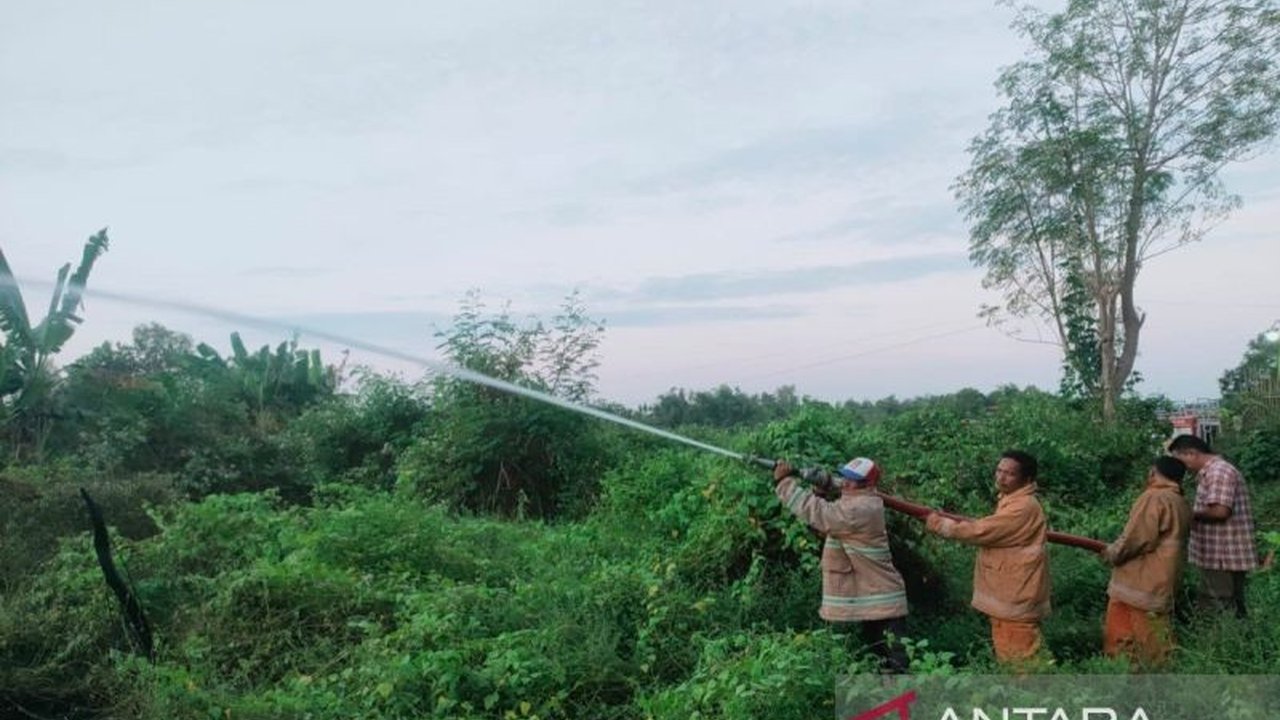 Pemerintah Pamekasan tetapkan status waspada **kebakaran lahan Pamekasan** di musim kemarau. Apa penyebab dominan dan bagaimana cara menghindarinya?