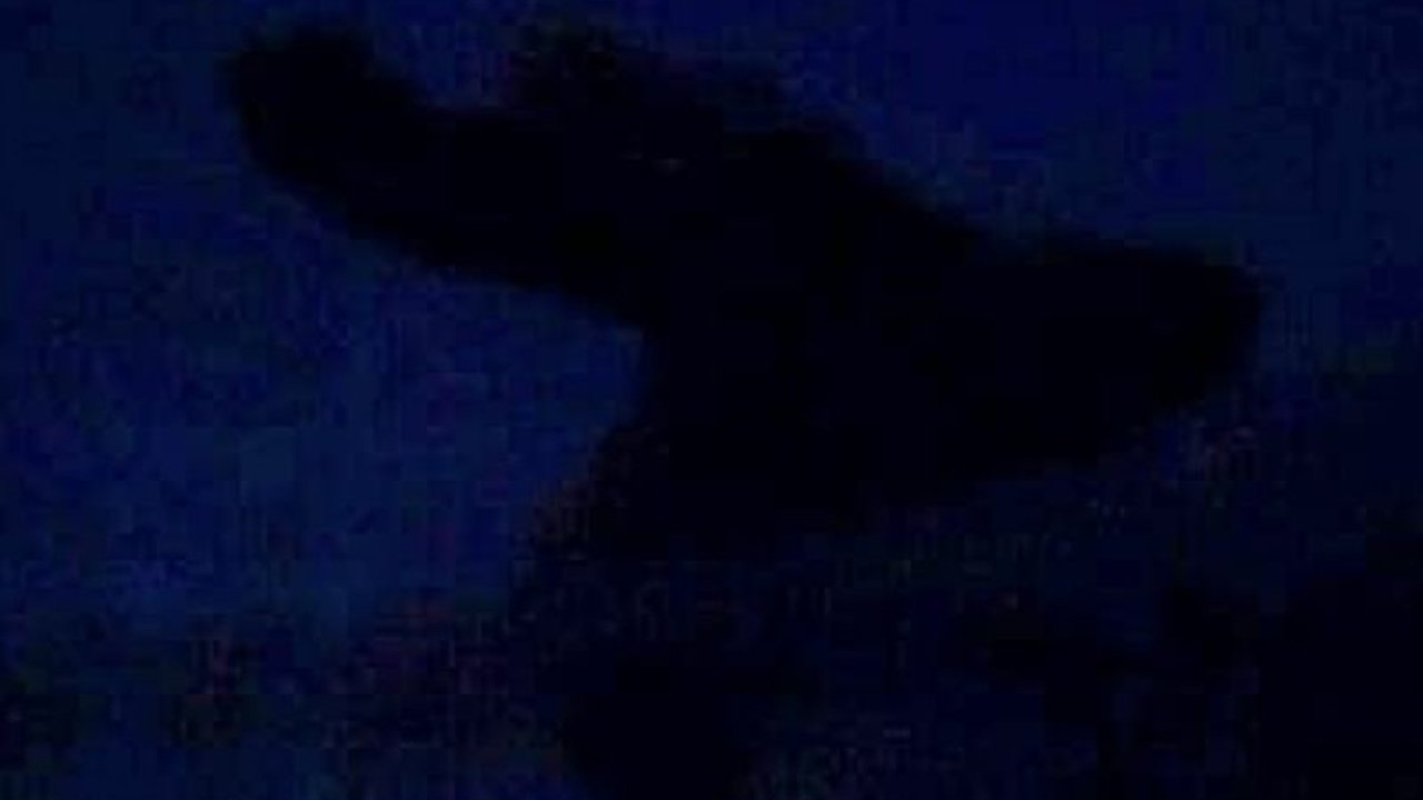 Gunung Dukono di Halmahera Utara kembali erupsi, menyemburkan abu vulkanik hingga 3.000 meter. Ketahui status waspada dan imbauan penting bagi warga sekitar Gunung Dukono.