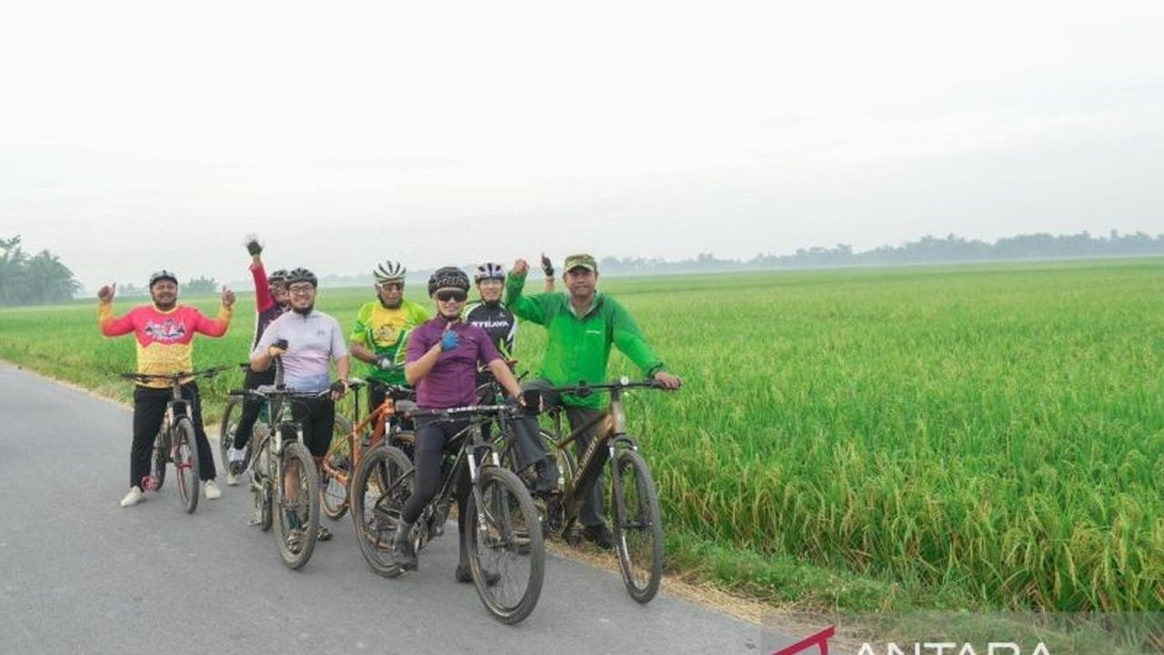 Pemkab Serdang Bedagai menargetkan petani dapat melakukan 7 kali panen padi dalam dua tahun. Simak strategi ambisius Serdang Bedagai sebagai lumbung pangan Sumatera Utara!