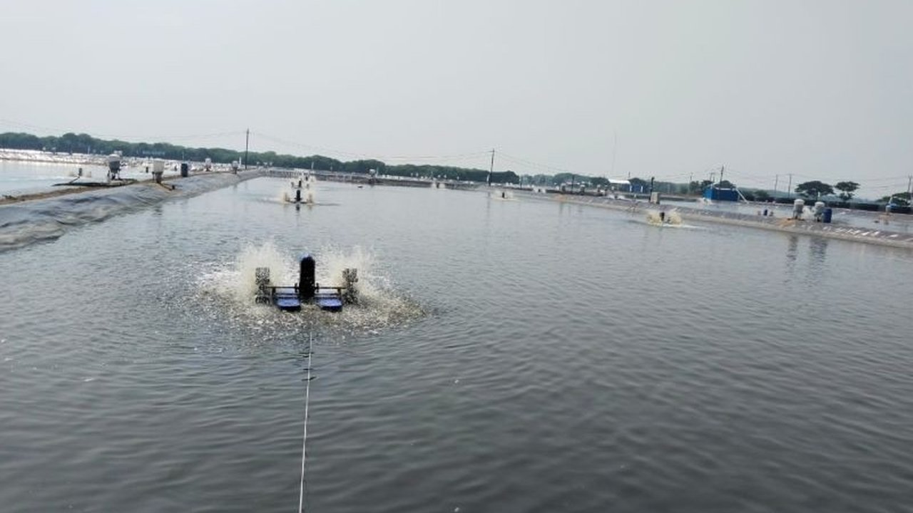 Program Revitalisasi Tambak Ikan Karawang akan menyasar ribuan hektare lahan, bukan hanya infrastruktur, tapi juga industri hilir. Bagaimana dampaknya bagi ekonomi lokal?