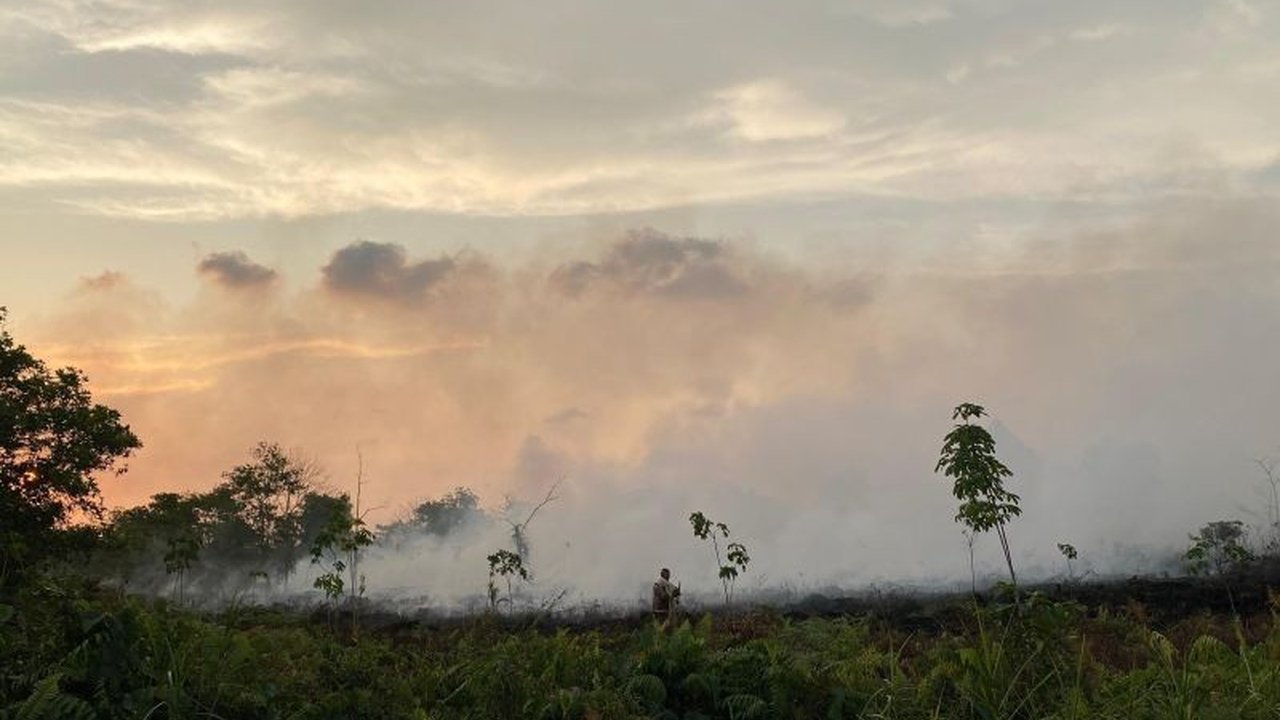 Kebakaran Lahan Singkawang di Jalan Bandara semakin meluas, mencapai 5 hektare dengan kabut asap mulai menyelimuti kota. Bagaimana upaya pemkot mengatasinya?