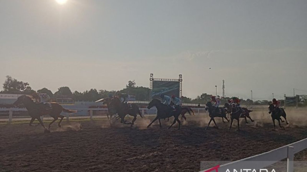 Ajang bergengsi IHR Indonesia Derby 2025 di Bantul sukses digelar, menampilkan 156 kuda terbaik dari 12 provinsi. Siapa jawara yang berhasil membawa pulang hadiah miliaran rupiah?