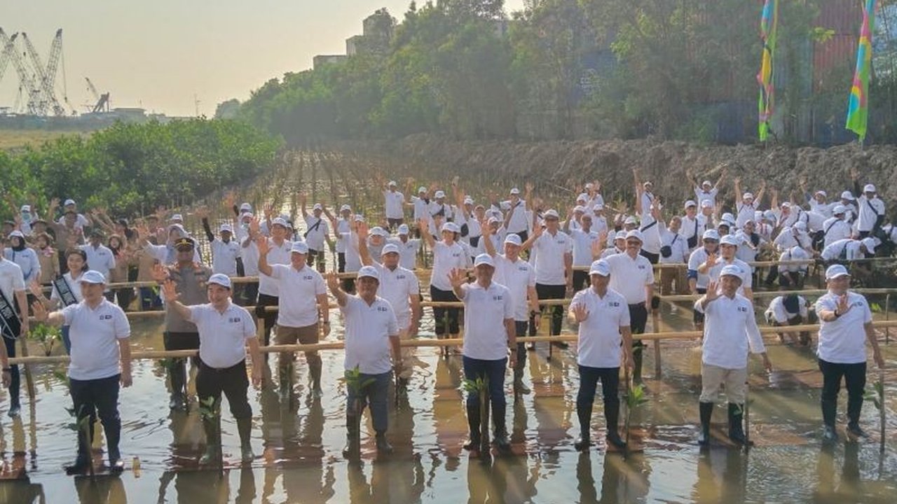 Pemerintah Provinsi DKI Jakarta serius menggarap program Penanaman Mangrove sepanjang 1 kilometer per tahun. Bagaimana upaya ini akan mengubah wajah pesisir utara Jakarta?