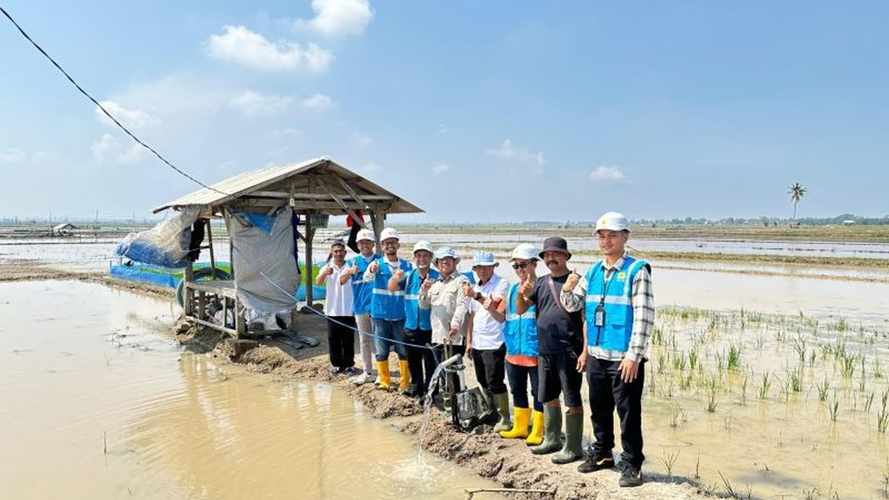 PLN Lampung berkomitmen mendukung ketahanan pangan melalui program smart farming di Lampung Selatan, memanfaatkan teknologi digital dan SuperSUN untuk efisiensi pertanian.